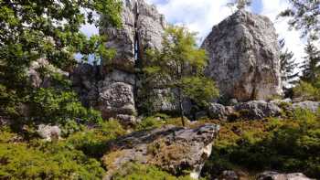 Feriendorf Bayerwald Viechtach