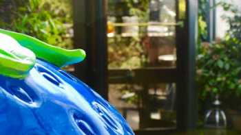 Blue Strawberry Bistrot