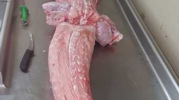 D & C Wild Game Processing