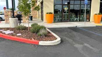 Wow Wow Lemonade El Dorado Hills