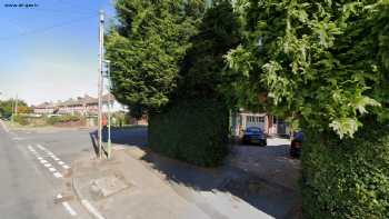 Callums & Eachan's Fossils and Minerals