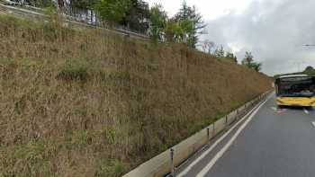 My stone yapı ve mimarlık