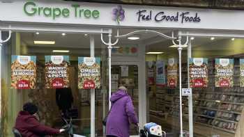 Grape Tree Sherborne