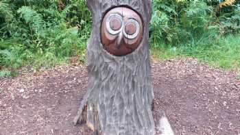 Chase Camping at Tackeroo