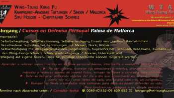 WTAA Wing Tsung Kung Fu / Wing Tsun Kungfu Tuttlingen