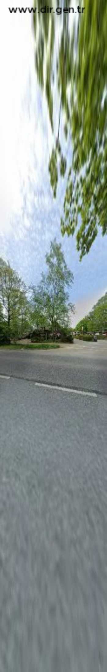 Rechtsanwältin Kerstin Bischoff