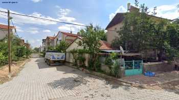 Özer çay ve taşimacilik