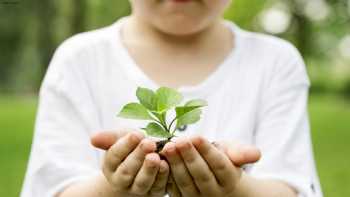 Nurture, Grow & Learn Nursery + Pre School