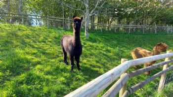 Bishop Cornish C of E VA Primary School