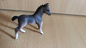 Dr. Thorsten Schleich