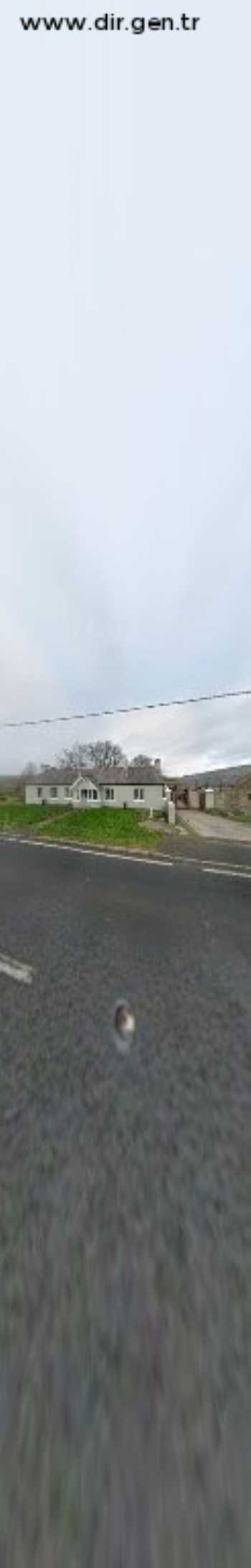 Learning in Harmony with Donkeys