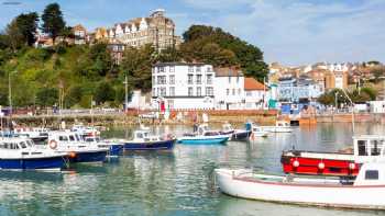 Anthony Isaacson Notary Public