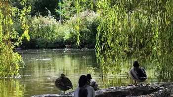 Briese Jochen Rechtsanwalt