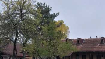 Daday Çömlekçiler At Çiftliği