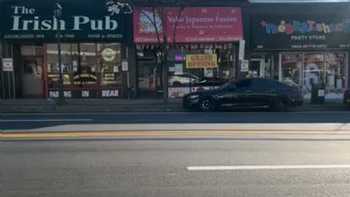 Yoho Japanese Fusion