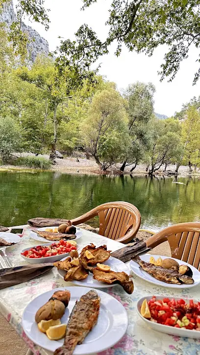 Handost Canlı Alabalık