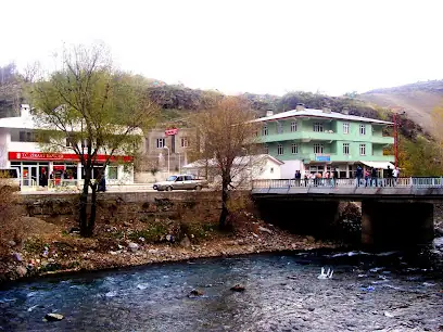 Çatak