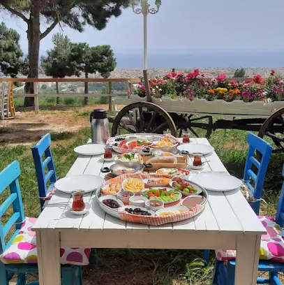 Terrace Restaurant & Cafe-Bar