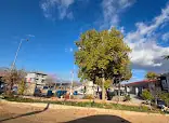 Akkiseli hakkanın yeri