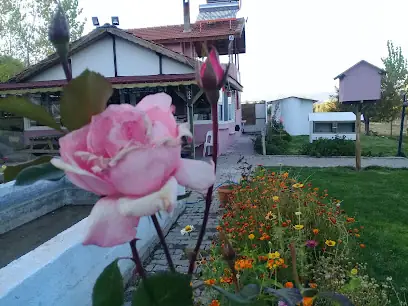 Cevizlibahçe Balık Restorantı