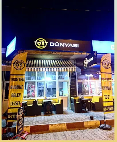 Salda Tost Dünyası