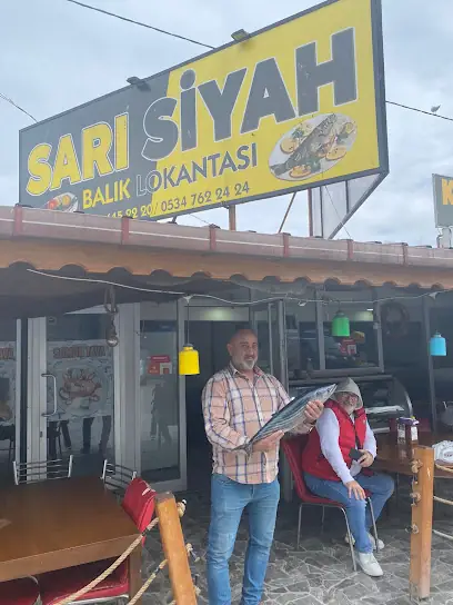 Sarı Siyah Balik (vedat)