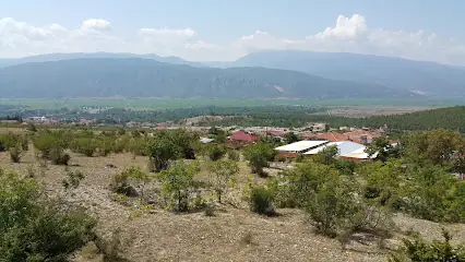 Saraydüzü