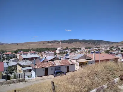 Köse