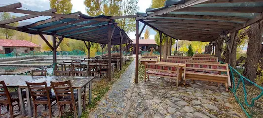 Şifa Alabalık Tesisleri