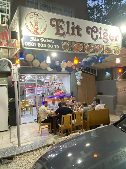 Elit ciğer