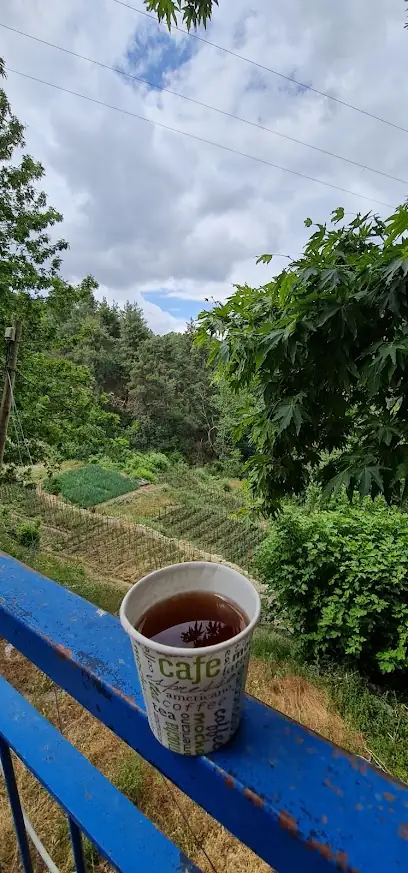 Taşa vur Mesire Alanı