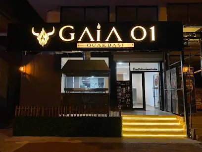 GAİA 01 OCAKBAŞI