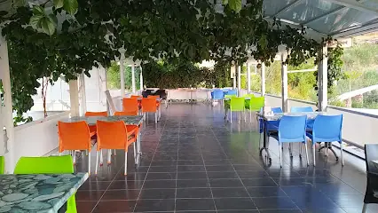 Hocanın alabalık üretim tesisi ve balık lokantası