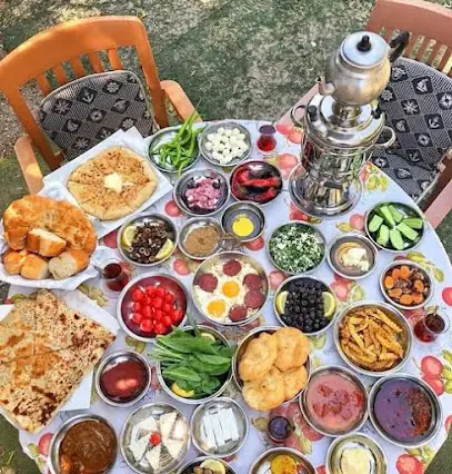 Zeynep Teyze’nin Yeri