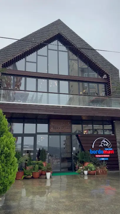 Bordo Mavi Balık-Erşan Yılmaz