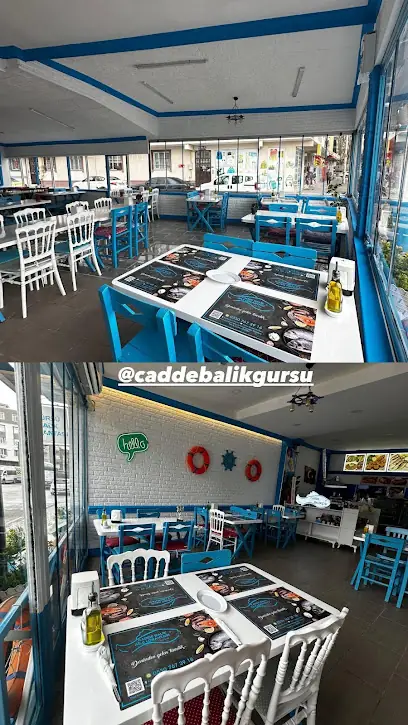 Gürsu cadde balıkçısı