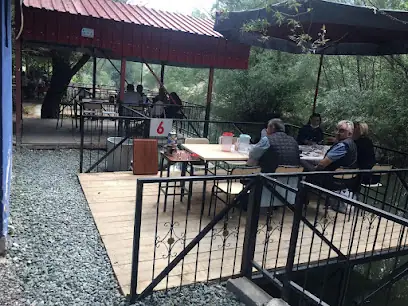 Alinin Yeri Et Ve Canlı Alabalık