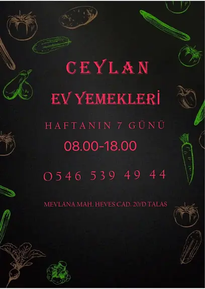 CEYLAN EV YEMEKLERİ