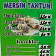 TAT MERSİN TANTUNİ