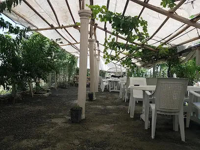 Ali'nin Yeri Aile Çay Bahçesi ve Restaurant