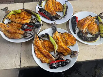 Balık Tesisi Güroymak