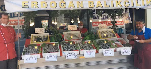 Erdoğan Balıkçılık