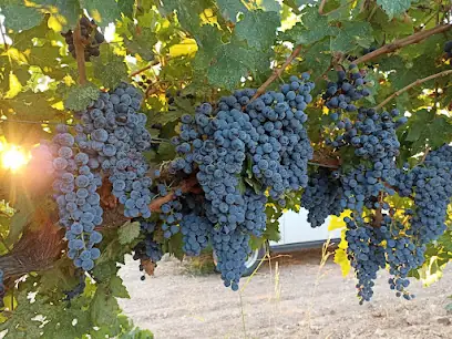 Lermonos Winery & Restaurant