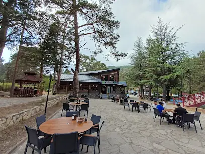 Havuzlu Bahçe Restaurant