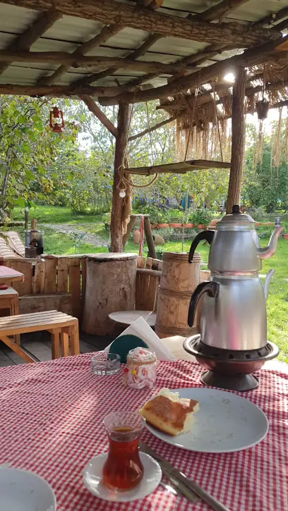 Aslı’nın Yeri