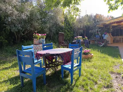 Yalova Organica Restaurant