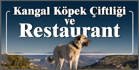 Kangal Kaymakamlığı Köpek Yetiştirme Çiftliği