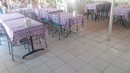 Alıze Bizim Ev