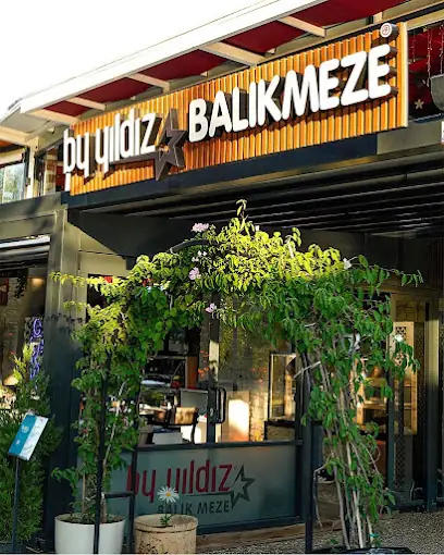 By yıldız balık meze Manavgat