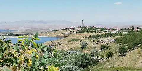 Sarıyahşi